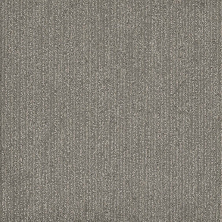 Dreamweaver Carpet Surfside Morning Star Carpet 3228_2054