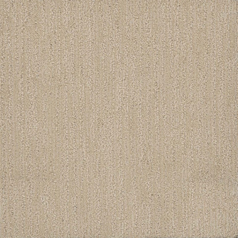 Dreamweaver Carpet Surfside Vanilla Sky Carpet 3228_2084
