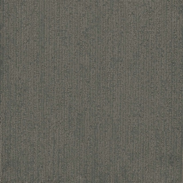 Dreamweaver Carpet Surfside Stonehaven Carpet 3228_2142