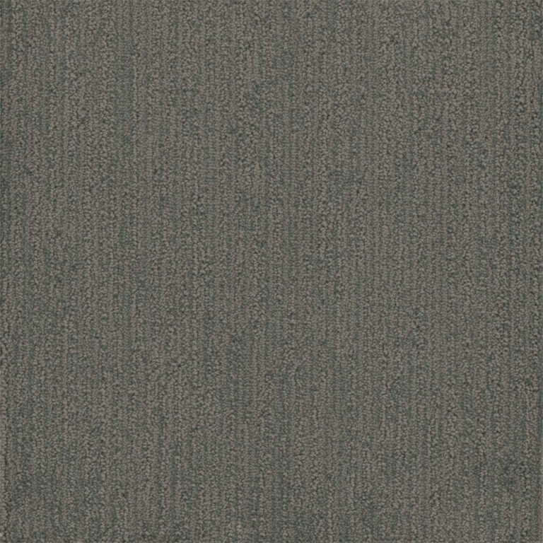 Dreamweaver Carpet Surfside Stonehaven Carpet 3228_2142