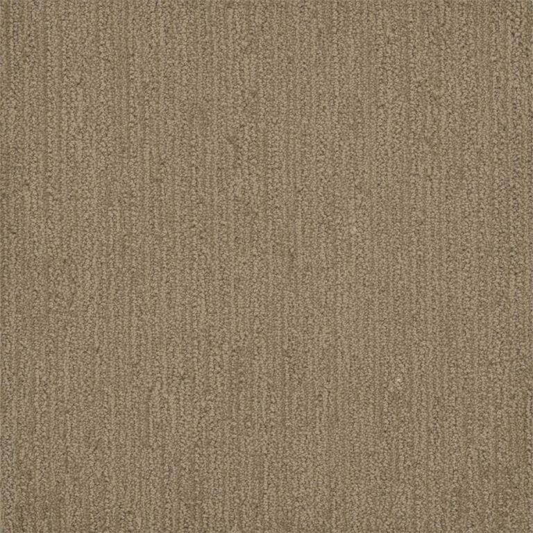 Dreamweaver Carpet Surfside Tanglewood Carpet 3228_5069