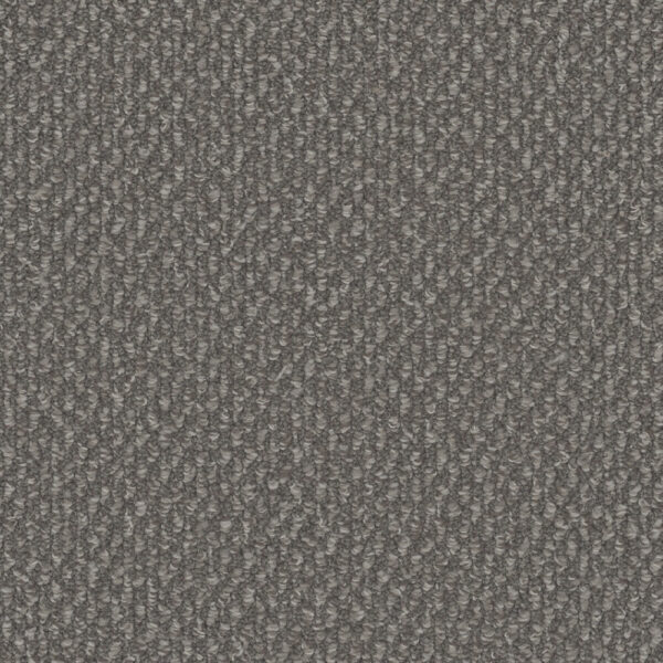 Dreamweaver Carpet Galactic Panther Carpet 3230_2238