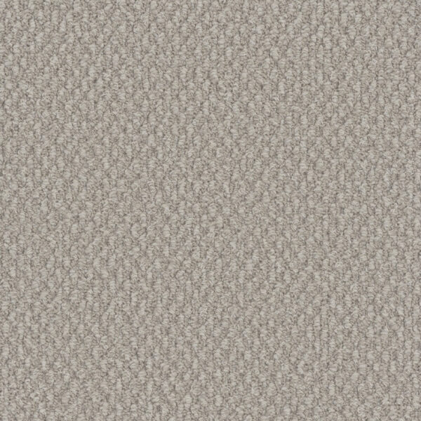 Dreamweaver Carpet Galactic Bleached Wheat Carpet 3230_2279