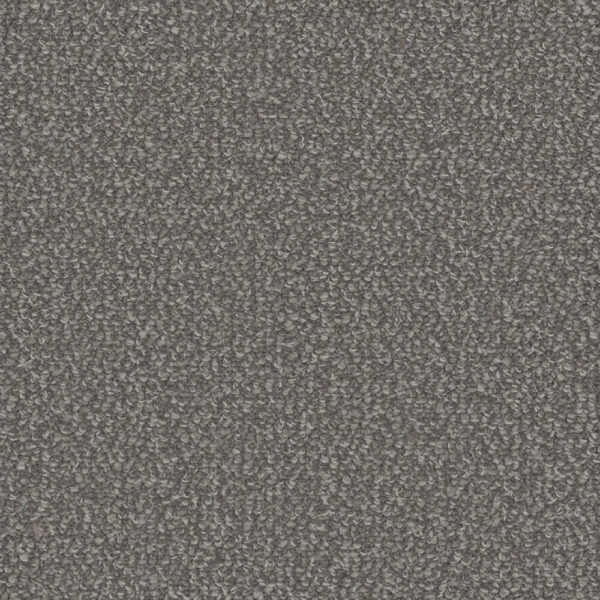 Dreamweaver Carpet Interstellar Panther Carpet 3236_2238