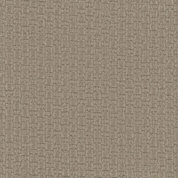 Dreamweaver Carpet Grand Isle Almond Bark Carpet 3428_2025