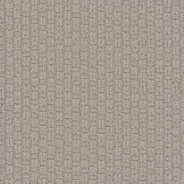 Dreamweaver Carpet Grand Isle Blizzard Blast Carpet 3428_5110