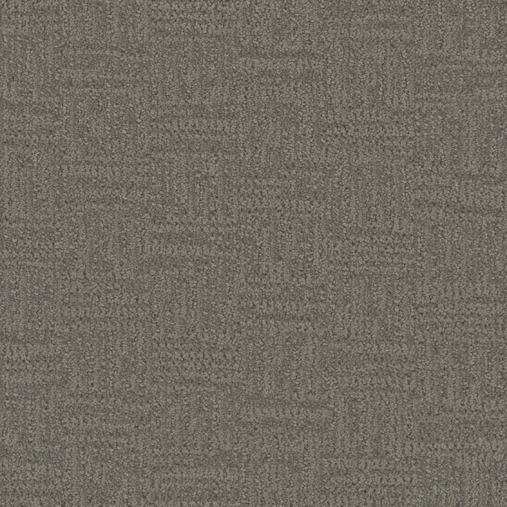 Dreamweaver Carpet Mystique Woodcrest Carpet 3575_2082