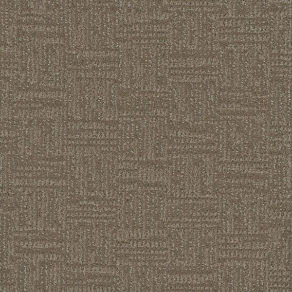 Dreamweaver Carpet Mystique Dusted Bronze Carpet 3575_2243