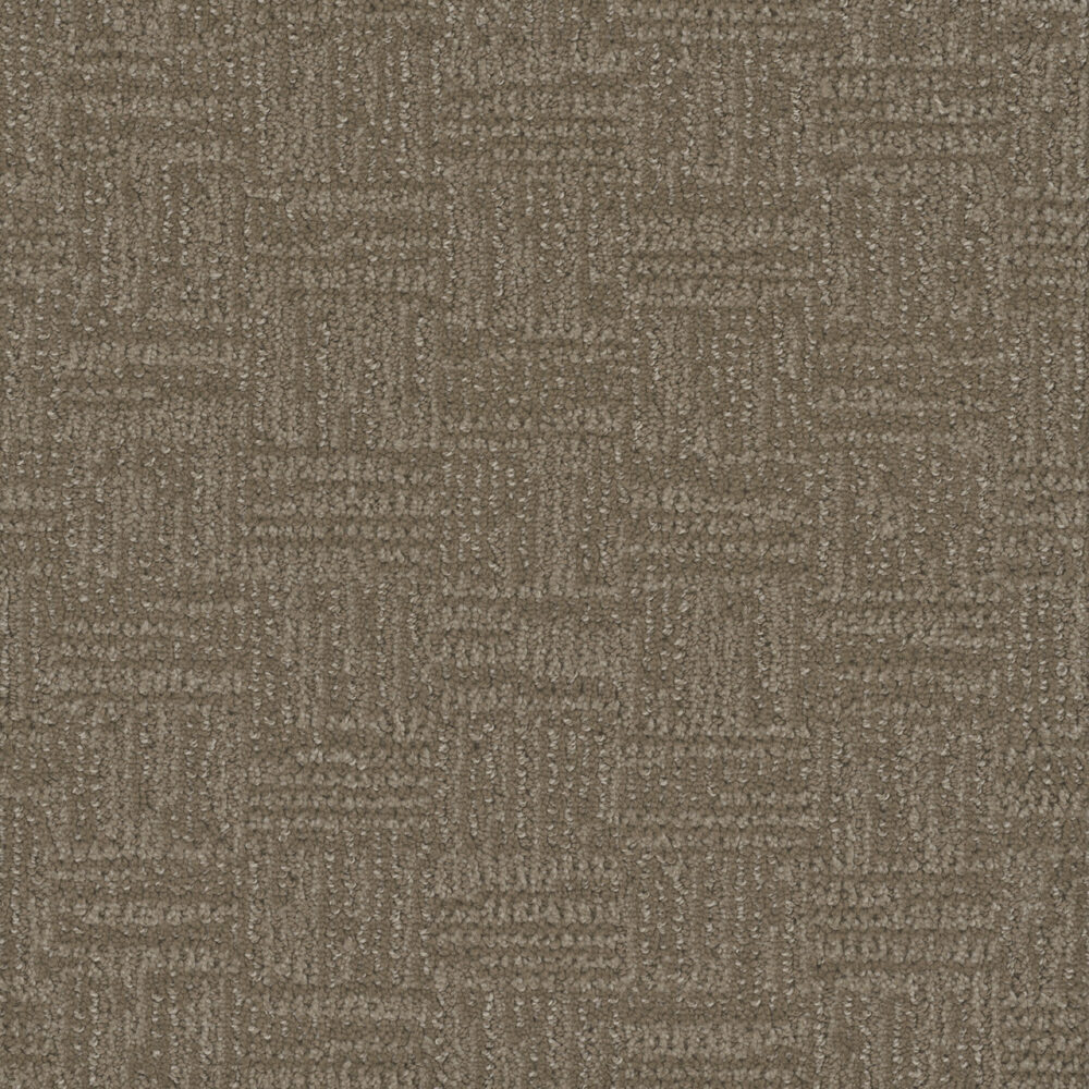 Dreamweaver Carpet Mystique Dusted Bronze Carpet 3575_2243