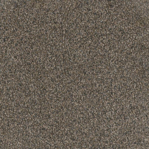 Dreamweaver Carpet Trendsetter II Imperial Sable Carpet 3655_134