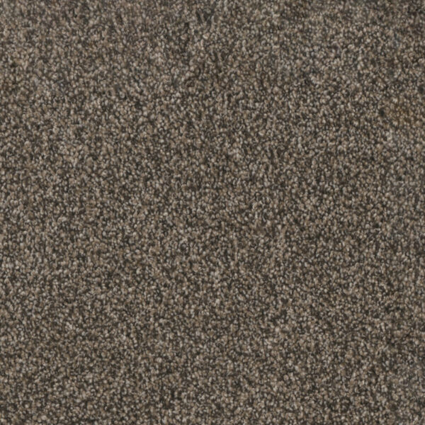Dreamweaver Carpet Trendsetter I Russett Carpet 3640_217