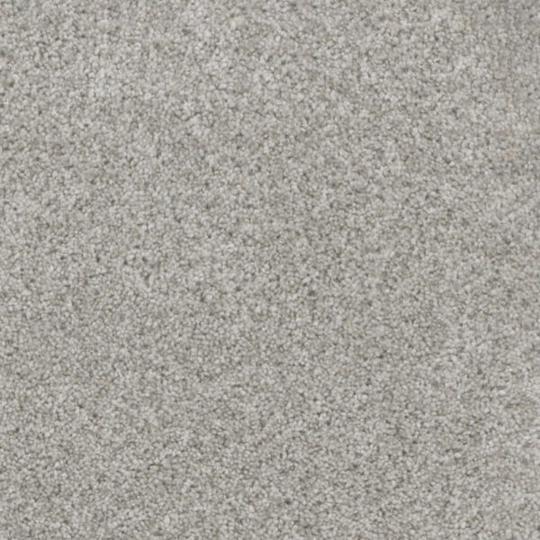 Dreamweaver Carpet Trendsetter I Sparkling Dew Carpet 3640_513