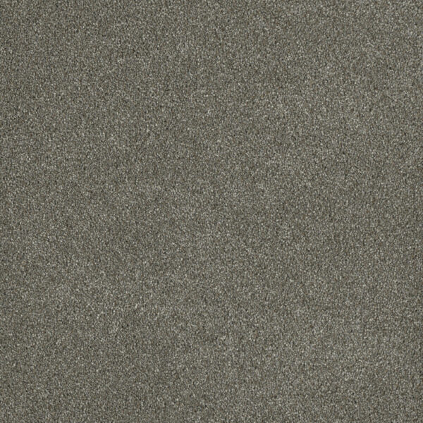 Dreamweaver Carpet Malibu II Havana Carpet 3750_330