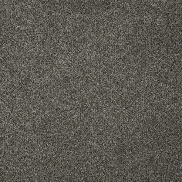 Dreamweaver Carpet Malibu II Smoky Quartz Carpet 3750_418