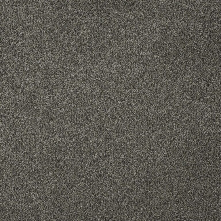 Dreamweaver Carpet Malibu III Smoky Quartz Carpet 3760_418