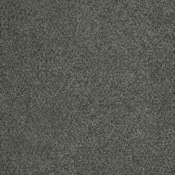 Dreamweaver Carpet Malibu II Pavilion Carpet 3750_958