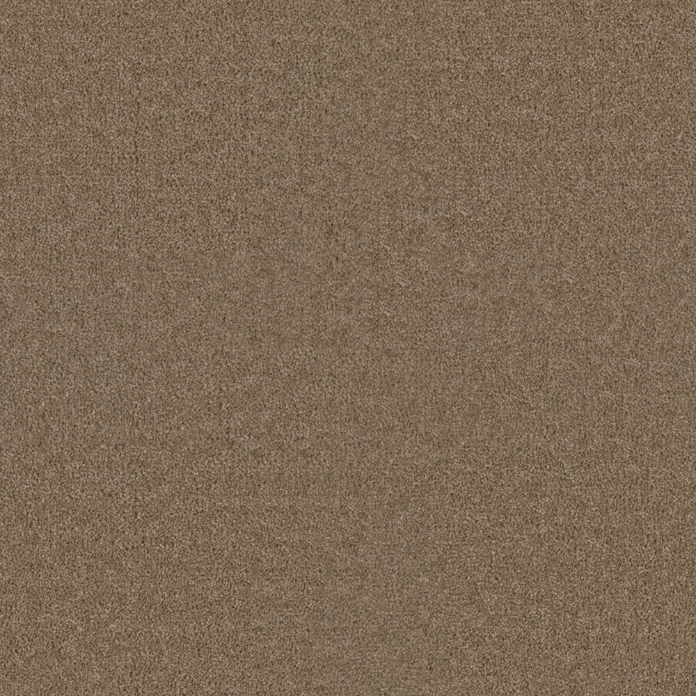 Dreamweaver Carpet Star Struck Bamboo Carpet 4032_565
