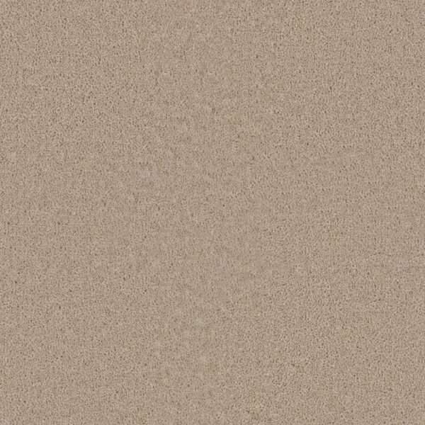 Dreamweaver Carpet Star Struck Ivory Carpet 4032_730