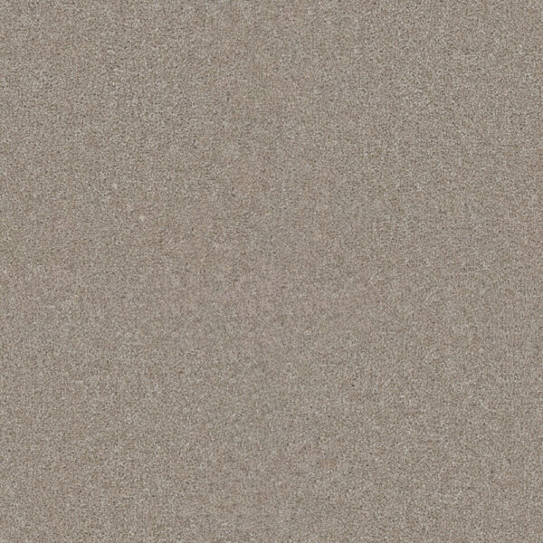 Dreamweaver Carpet Star Struck Parchment Carpet 4032_744