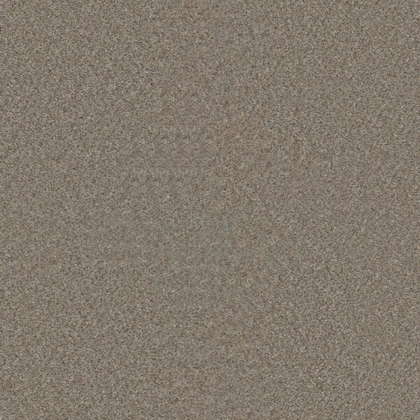 Dreamweaver Carpet Star Struck Iron Frost Carpet 4032_815