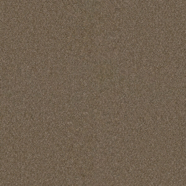 Dreamweaver Carpet Star Struck Acorn Carpet 4032_858