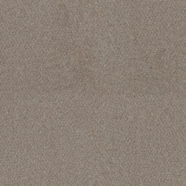 Dreamweaver Carpet Star Struck Ash Carpet 4032_945