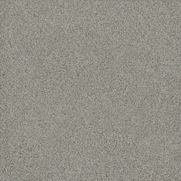 Dreamweaver Carpet No Limits II Beach Sand Carpet 9346_4064