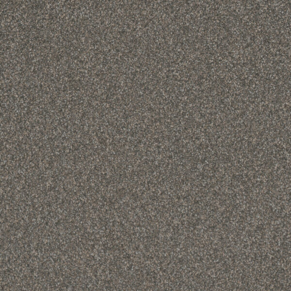 Dreamweaver Carpet Gold Standard III Graphite Carpet 4066_2330