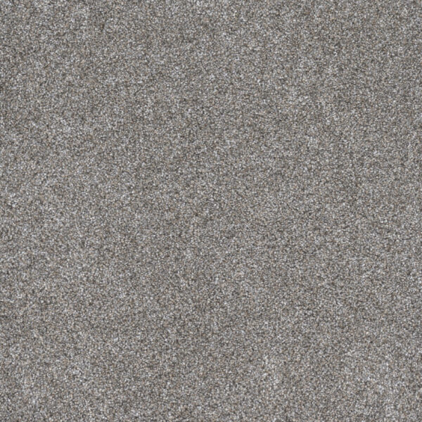 Dreamweaver Carpet Gold Standard III Chrome Carpet 4066_2484