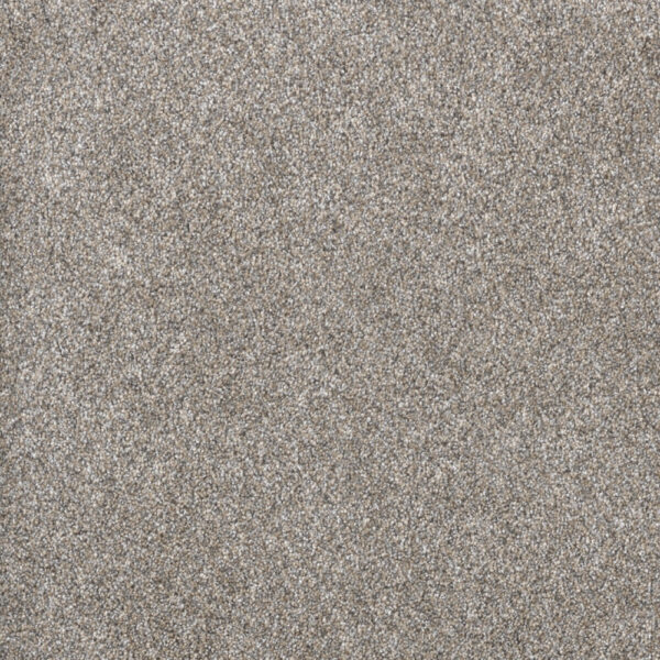 Dreamweaver Carpet Gold Standard III Sterling Carpet 4066_2508