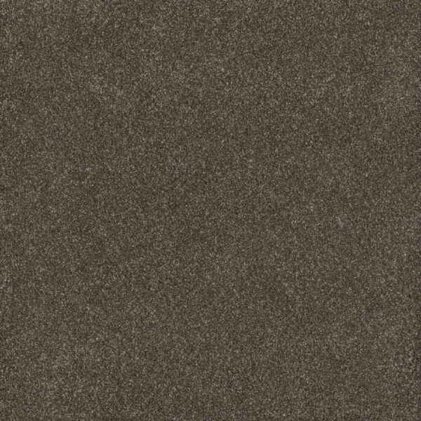 Dreamweaver Carpet Gold Standard III Ingot Carpet 4066_2801
