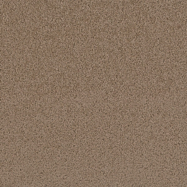Dreamweaver Carpet First Step Sable Carpet 4160_510