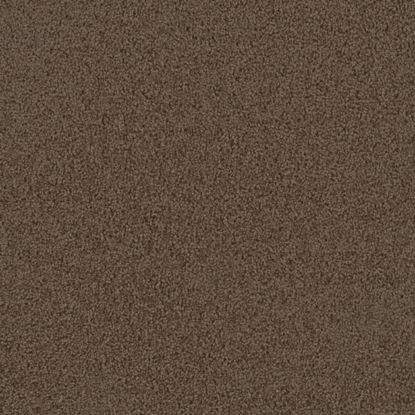 Dreamweaver Carpet First Step Barnwood Carpet 4160_550