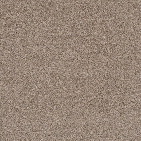Dreamweaver Carpet First Step Biscotti Carpet 4160_642