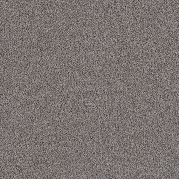 Dreamweaver Carpet First Step Dove Carpet 4160_800