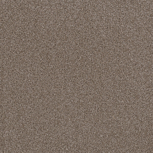 Dreamweaver Carpet First Step Silvery Carpet 4160_829