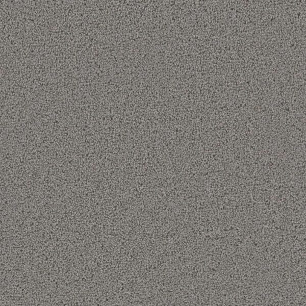 Dreamweaver Carpet First Step Bayside Carpet 4160_956