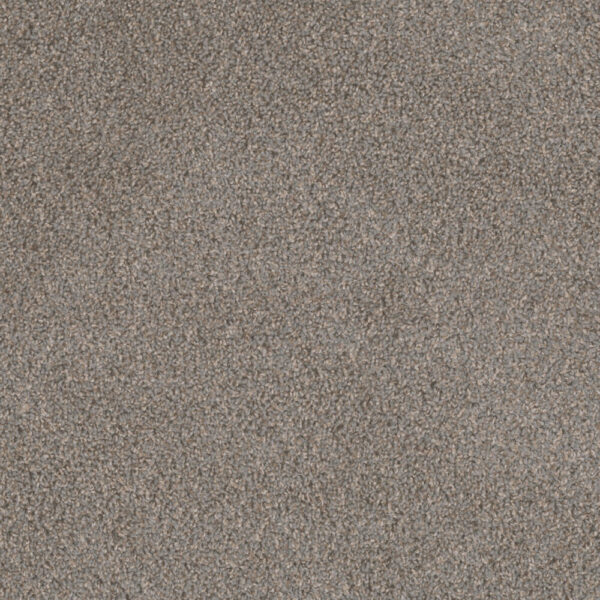 Dreamweaver Carpet Step Two Periwinkle Carpet 4162_447
