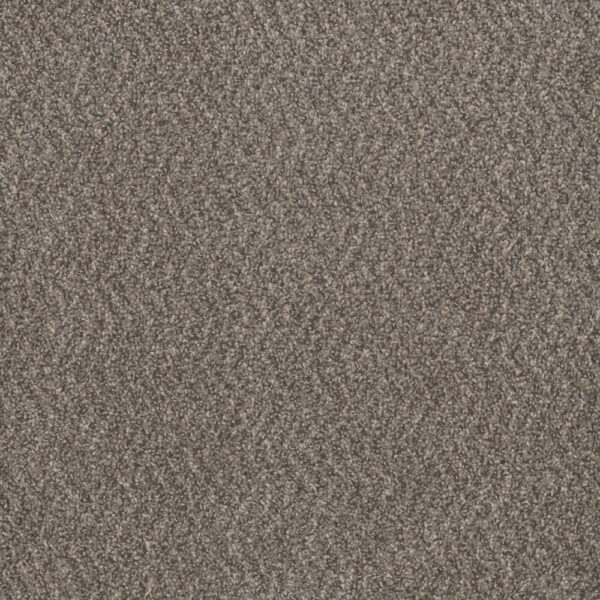 Dreamweaver Carpet Step Two Ironclad Carpet 4162_783