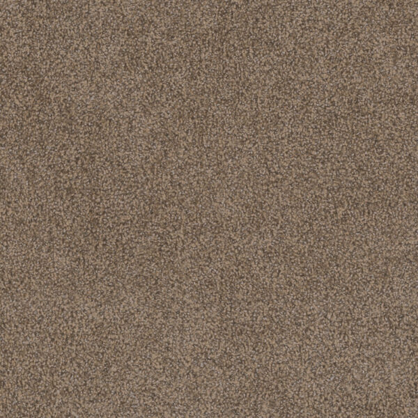 Dreamweaver Carpet Step Two Esteem Carpet 4162_827