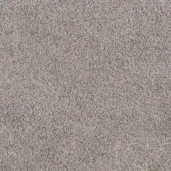 Dreamweaver Carpet Rustic Retreat II Sweet Magnolia Carpet 4455_5050