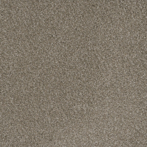 Dreamweaver Carpet Mill Creek II Polished Pebble Carpet 4740_2023