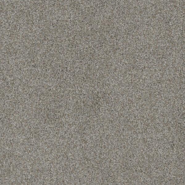 Dreamweaver Carpet Mill Creek II Off Shore Carpet 4740_4017