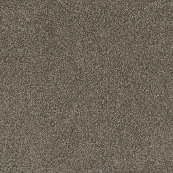 Dreamweaver Carpet Mill Creek I Lucky Penny Carpet 4730_4026