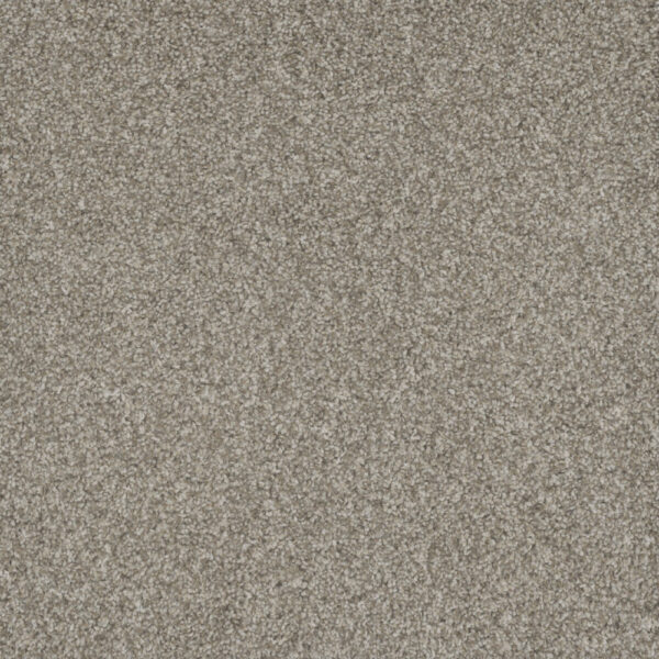 Dreamweaver Carpet Mill Creek I Baby's Breath Carpet 4730_4035