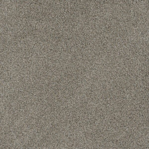 Dreamweaver Carpet Mill Creek II Palmdale Carpet 4740_4110