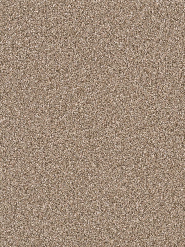 Dreamweaver Carpet Can'T Miss Acorn Carpet 4748_858