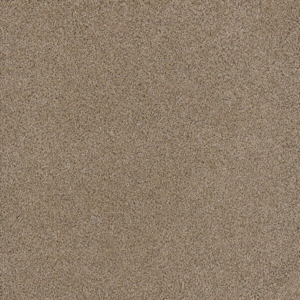 Dreamweaver Carpet Stunning Ginger Carpet 4765_726