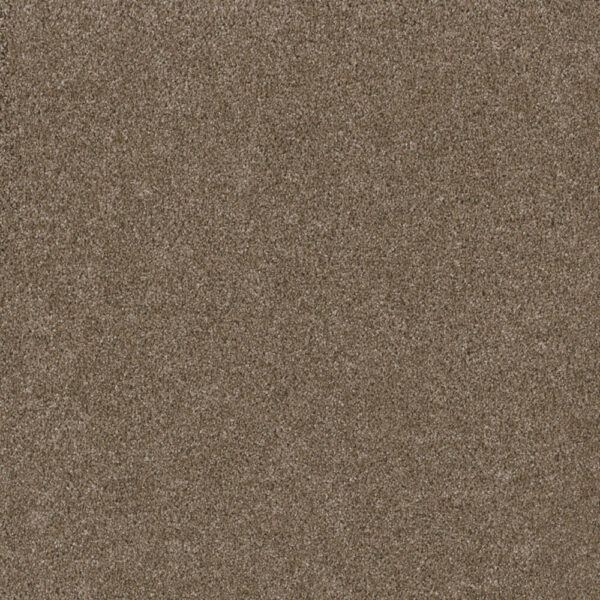 Dreamweaver Carpet Stunning Acorn Carpet 4765_858