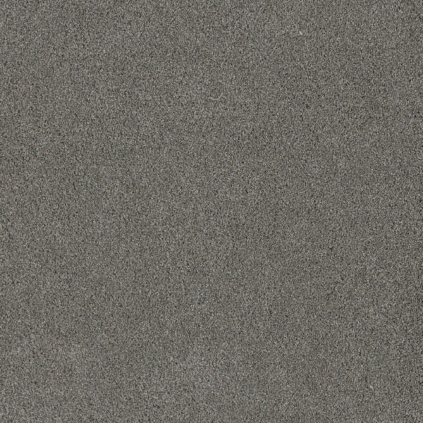 Dreamweaver Carpet Stunning Orion Carpet 4765_955